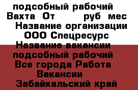 подсобный рабочий . Вахта. От 30 000 руб./мес. › Название организации ­ ООО Спецресурс › Название вакансии ­ подсобный рабочий - Все города Работа » Вакансии   . Забайкальский край